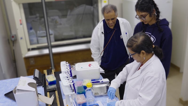 New treatment could drastically reduce sepsis death rate, researcher says