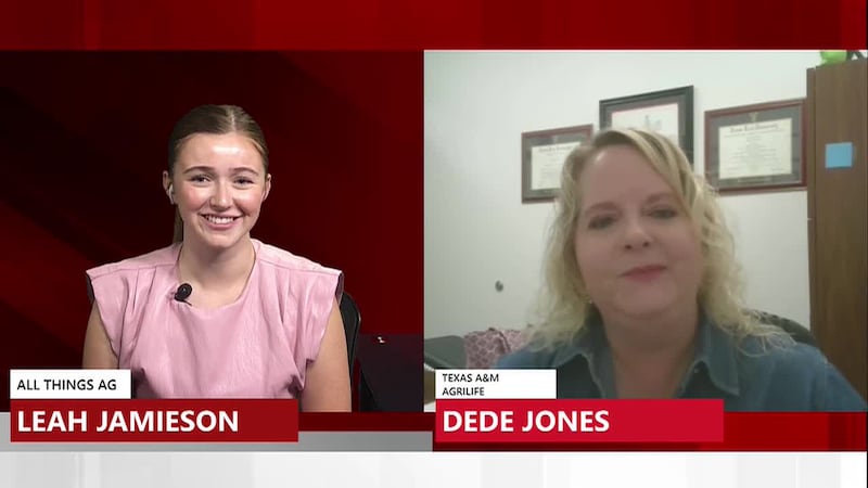 All Things Ag discusses multiple different markets impacting agriculture