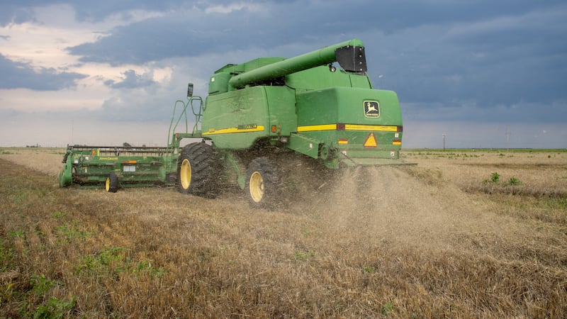 The Randall County Extension Office held a wheat insect and disease scouting school today for...