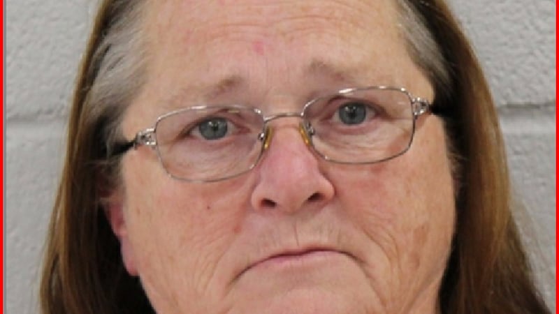 Diane Click, pleaded not guilty to charges related to the death of 4-year-old Hope Raley.