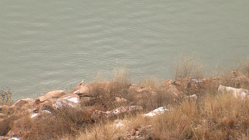 (Source: KFDA)