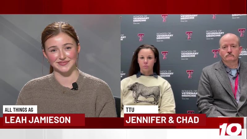 All Things Ag with Texas Tech University School of Veterinary Medicine