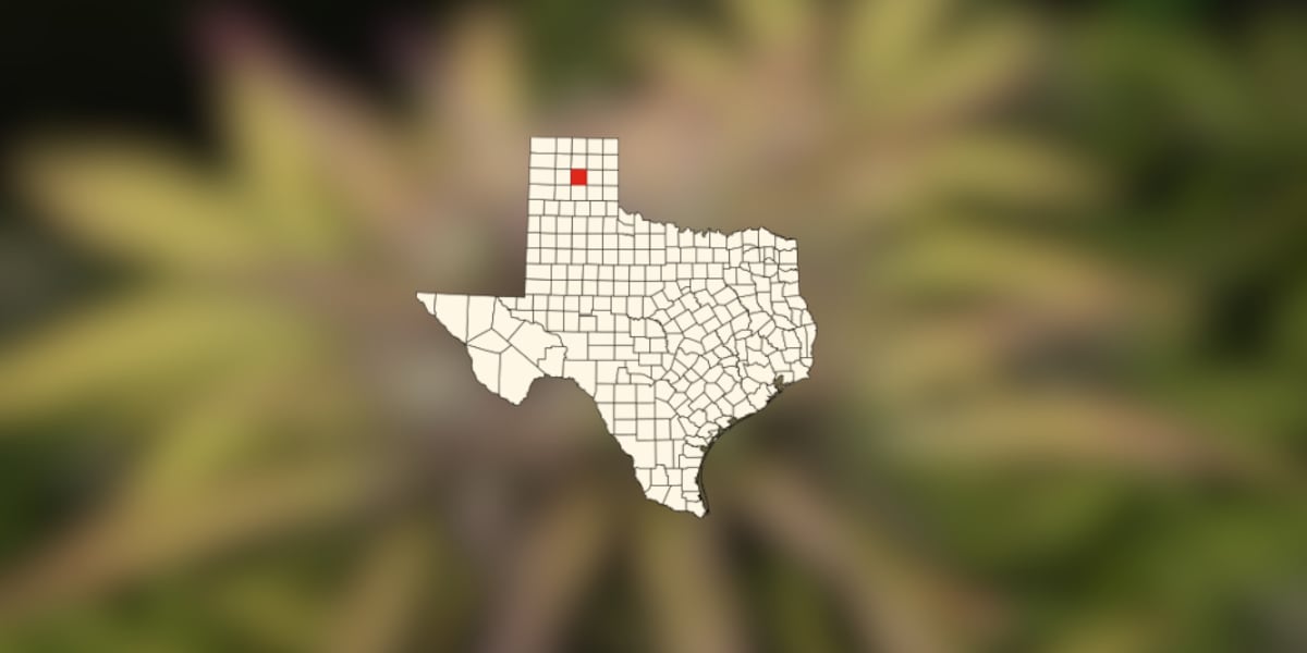 Elderly man jailed, fined $4,000 for marijuana in Carson County