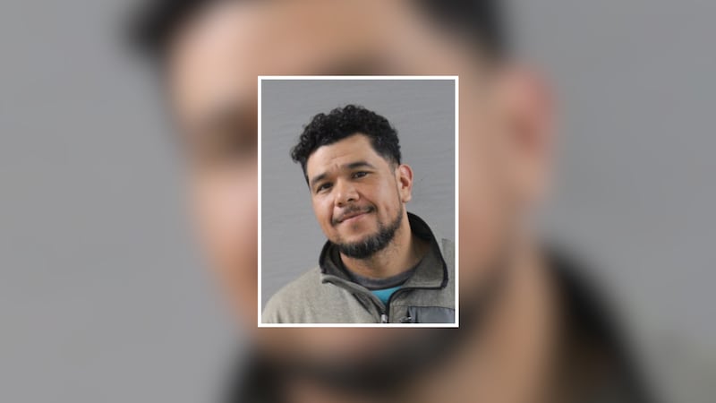 Man pleads guilty to illegal firearms despite claims of self-defense against stray dogs