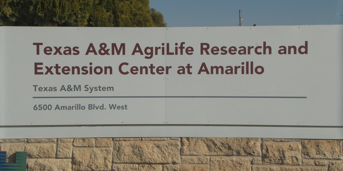 ‘Puts us in the sweet spot’: Texas A&M AgriLife Research and Extension ...