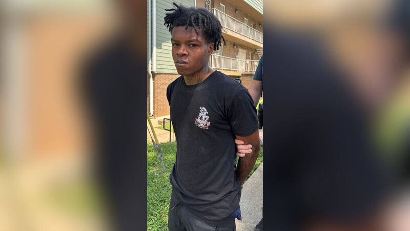 Devin Rice, 23, is charged with criminal homicide after police say he shot and killed his...