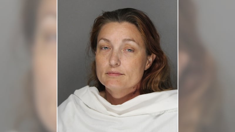 Jail records show Colleen Lemmon is charged with two counts of capital murder.
