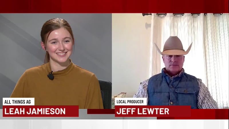 In today’s edition of All Things Ag, NewsChannel10’s Leah Jamieson about the current cattle...