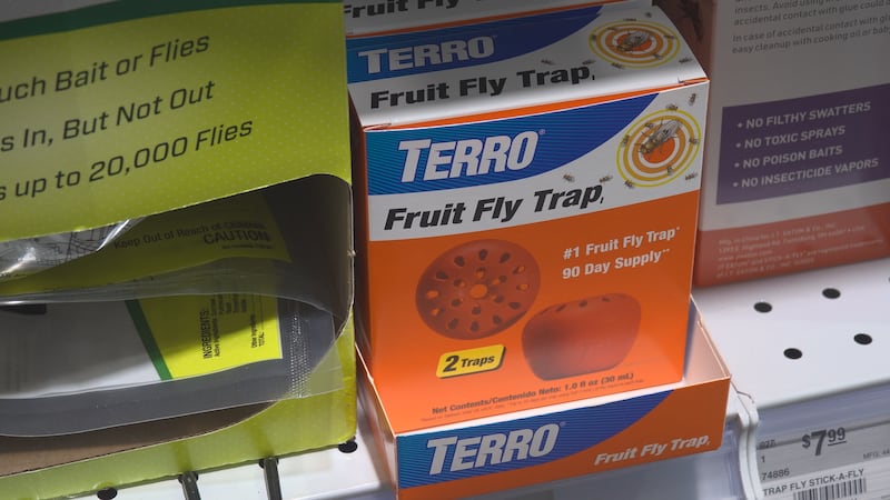 Fruit flies and gnats are showing up in more homes across the Panhandle as the weather...