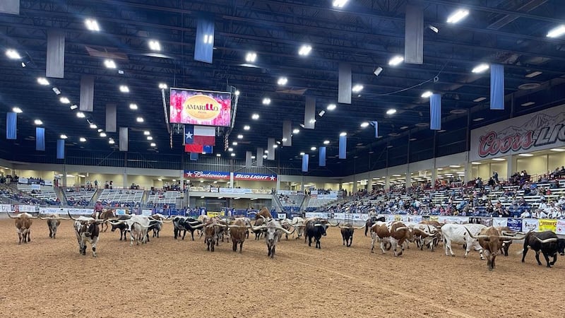 ‘Our western way of life’: Night one of the Coors Cowboy Ranch Rodeo