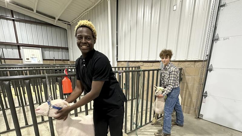 Ruben makes his way to Cal Farley’s Boys Ranch where he learns about the Taylor Show Barn, a...