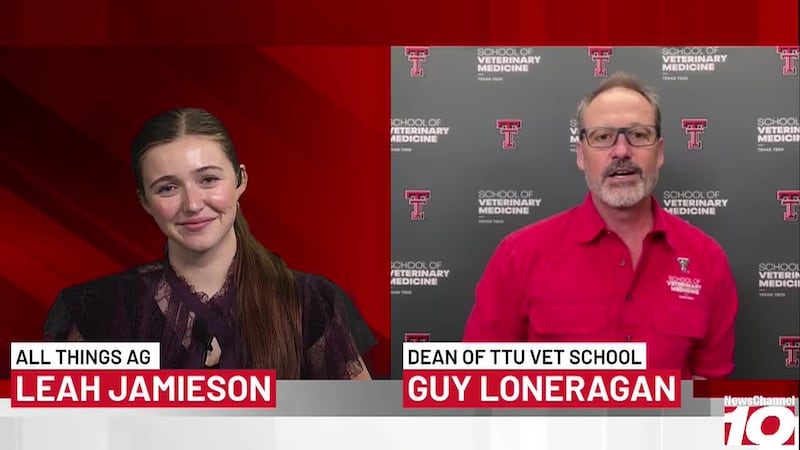 All Things Ag discusses the TTU vet schools future plans and successes