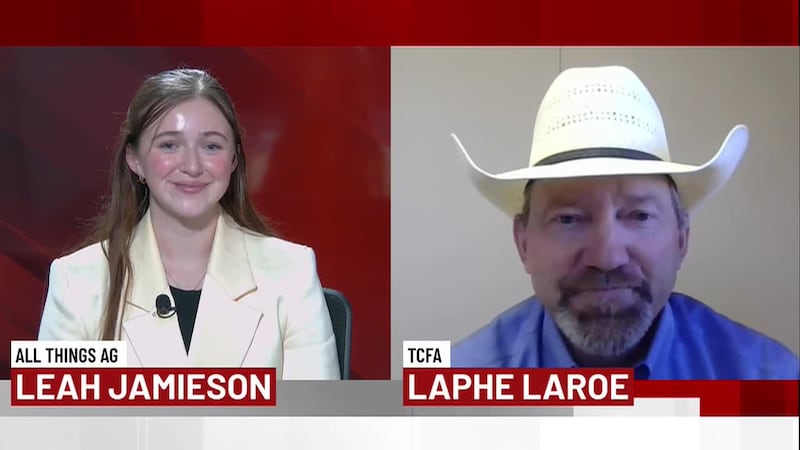 The reopening of the border is providing relief to Texas Panhandle cattle feeders who rely on...