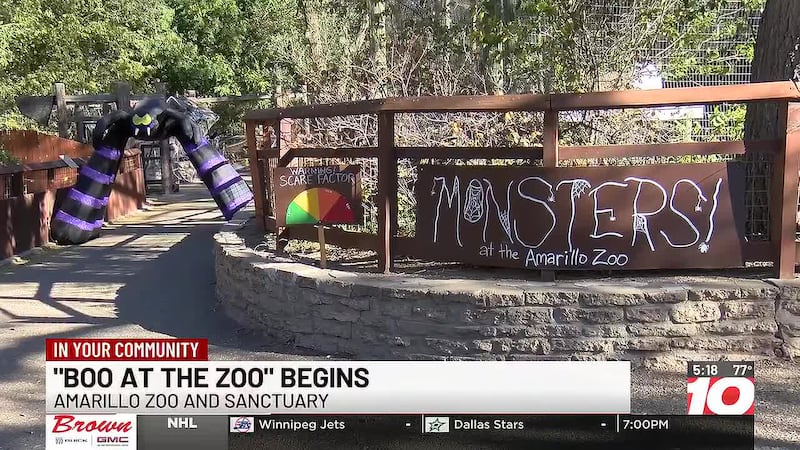 Amarillo Zoo’s ‘Boo at the Zoo’ kicks off tonight. Here’s how to get your tickets