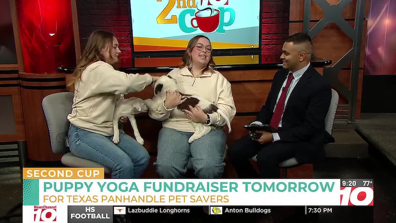Puppy yoga and fall market fundraiser tomorrow for Texas Panhandle Pet Savers