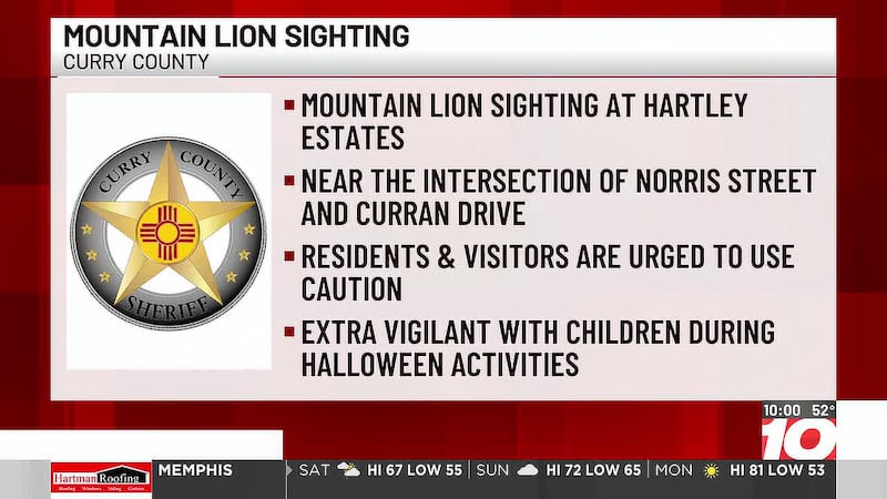 Reports of mountain lions roaming in Curry County near Norris St., Curran Dr.